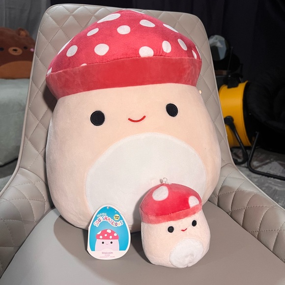 Two Malcolm Squishmallows - Picture 1 of 2